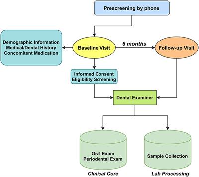 Frontiers Comparative Effects of E Cigarette Aerosol on